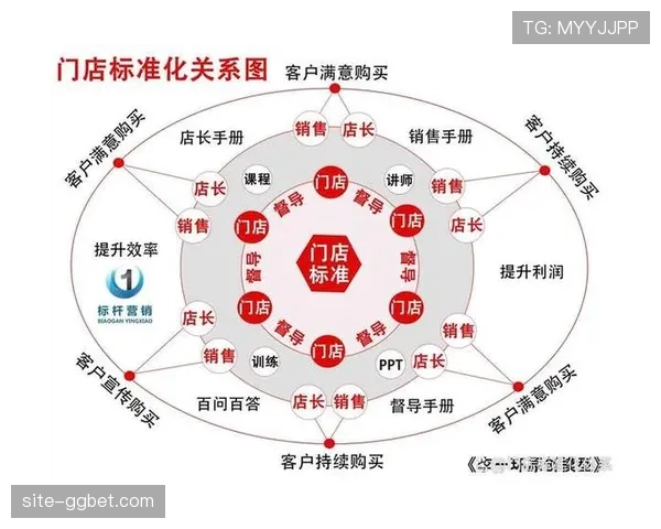 赛事运营流程标准化程度提高 品牌输出具备基础